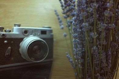 {Bật mí} Từ tình yêu hoa tím tới câu chuyện shop bán sỉ hoa lavender.